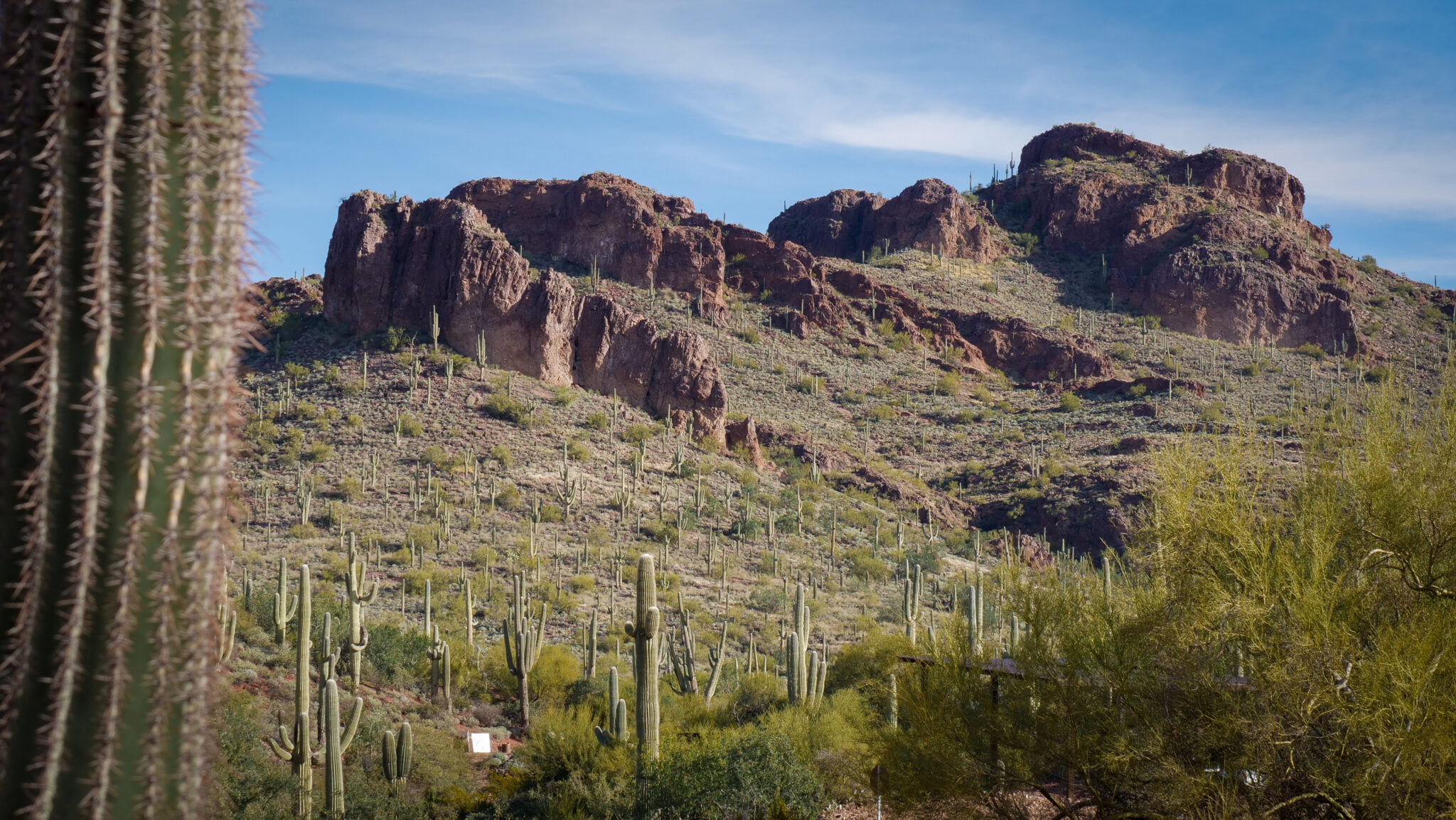 Neuer Naturpark für Arizona Peralta Regional Park Reiseberichte